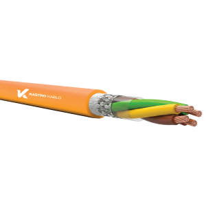 LIYC11Y